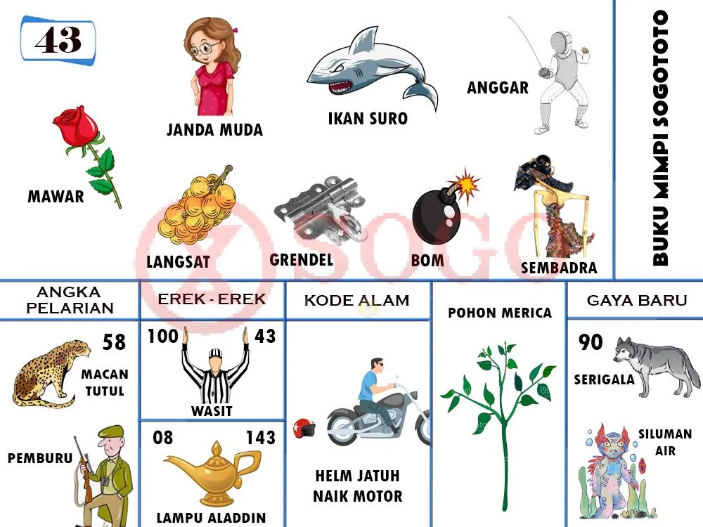 buku mimpi erek erek togel 43